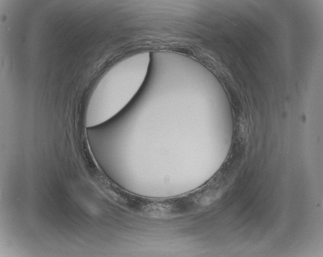 X0000082740691200701261031