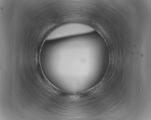X0000082740692200701261031