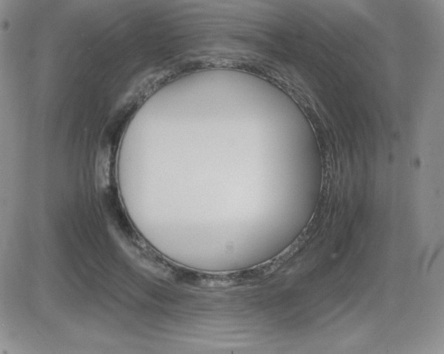 X0000082740694200701261031