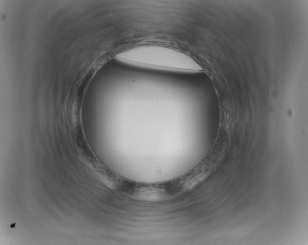 X0000082740708200701261031