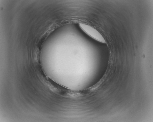 X0000082740712200701261031