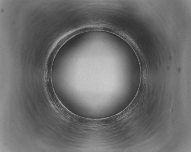 X0000082740724200701261030