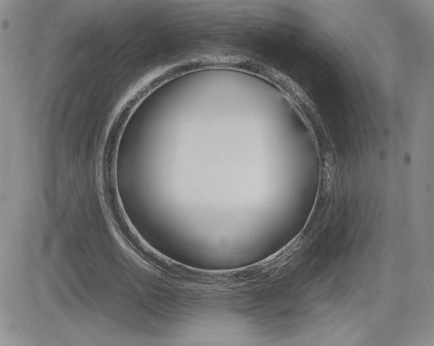 X0000082740726200701261030
