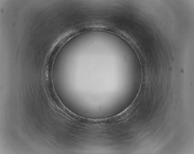 X0000082740731200701261030