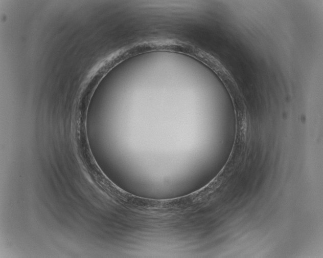 X0000082740732200701261030