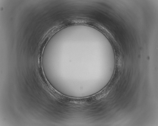 X0000082740733200701261030