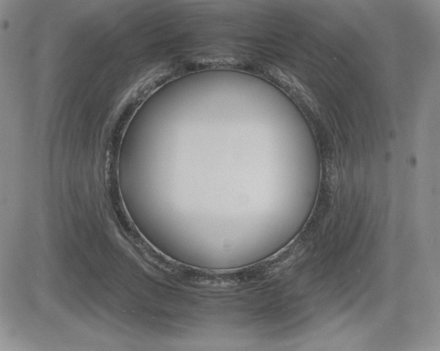 X0000082740735200701261030