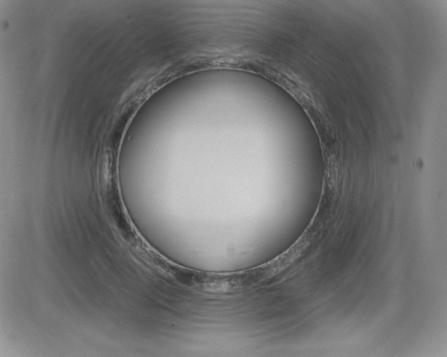 X0000082740740200701261030