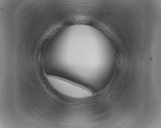 X0000082740742200701261030