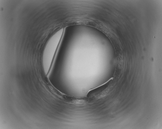 X0000082740748200701261030