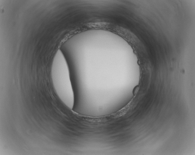 X0000082740749200701261030