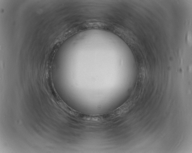 X0000082740751200701261030