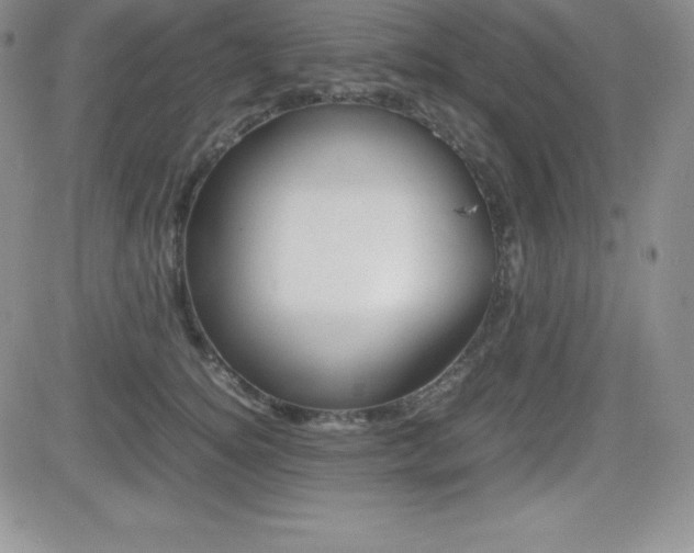 X0000082740756200701261030