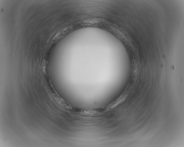 X0000082740758200701261030