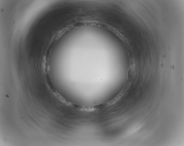 X0000082740767200701261030
