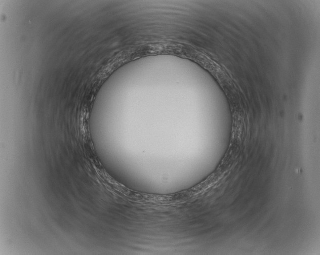X0000082740770200701261030