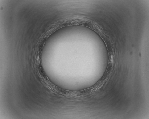 X0000082740771200701261030