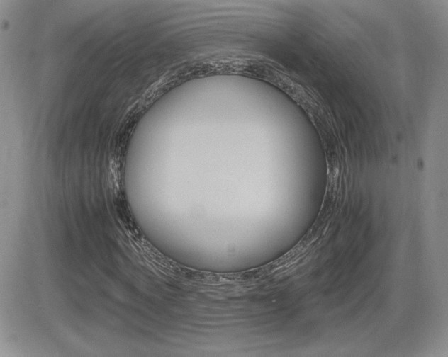 X0000082740772200701261030