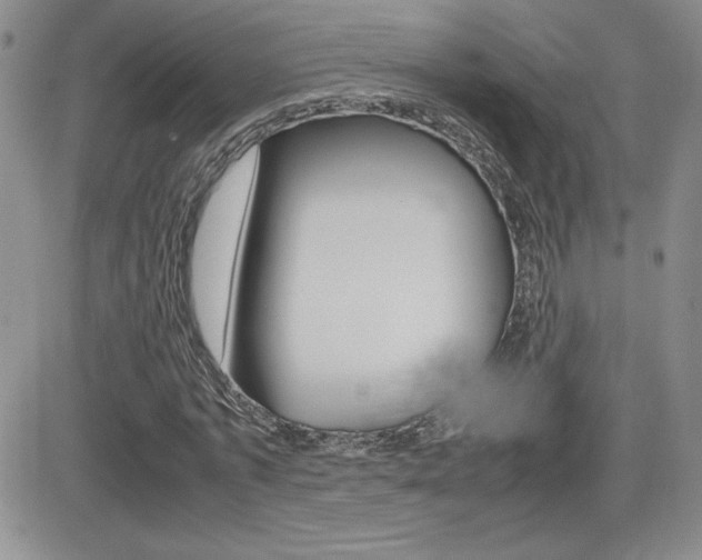 X0000082740773200701261030