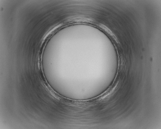X0000082740782200701261029