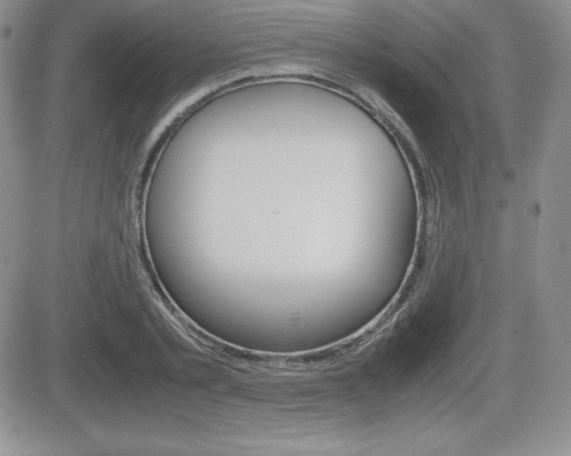 X0000082740789200701261029
