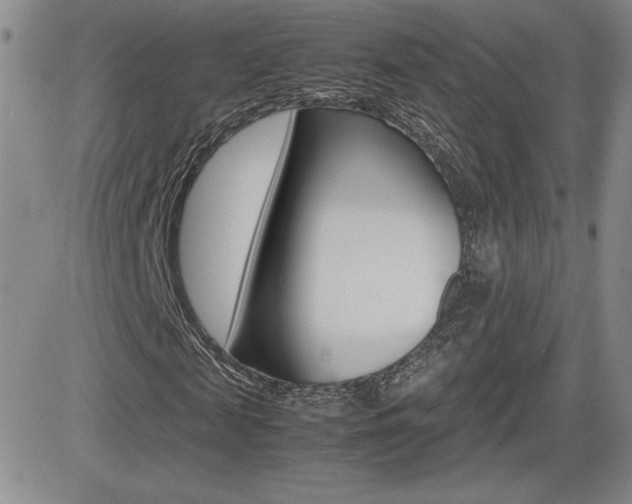 X0000082740817200701261028