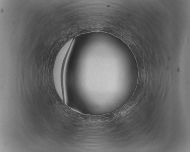 X0000082740818200701261028