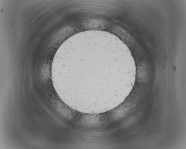X0000082740820200701261028