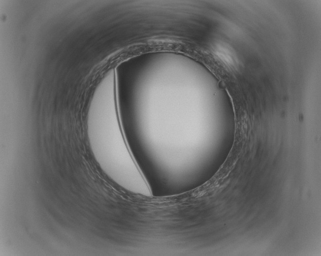 X0000082740821200701261028