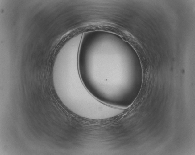 X0000082740822200701261028