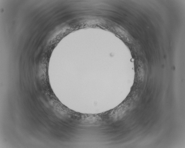 X0000082740824200701261028