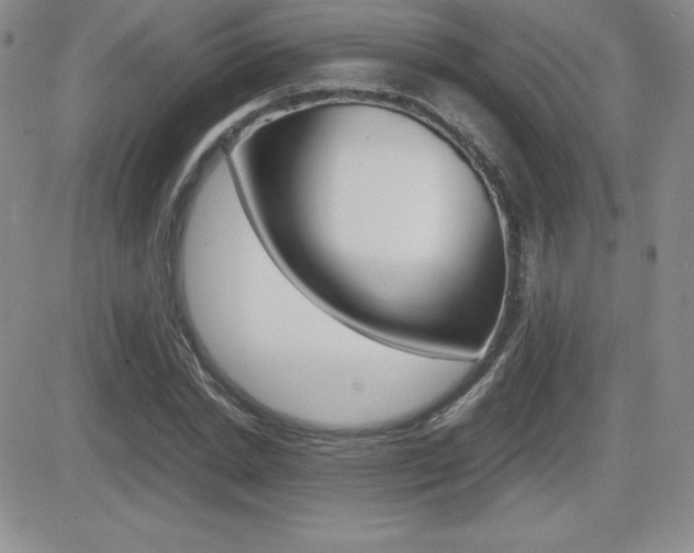 X0000082740830200701261028