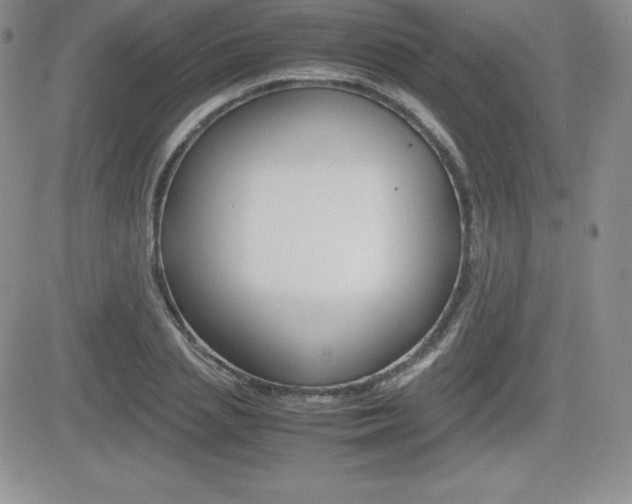 X0000082740837200701261028