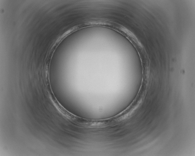 X0000082740841200701261028