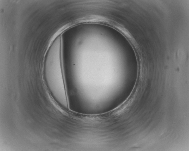 X0000082740850200701261029