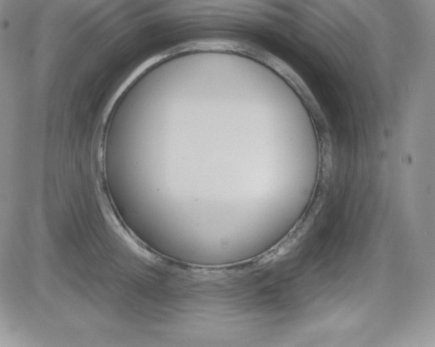 X0000082740852200701261029