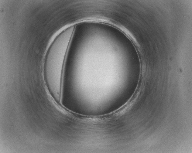 X0000082740854200701261029