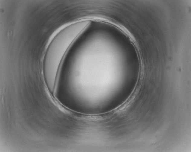X0000082740862200701261029