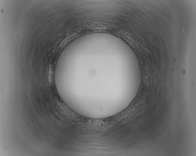 X0000082740866200701261028