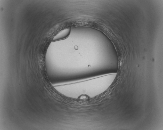 X0000082740867200701261028