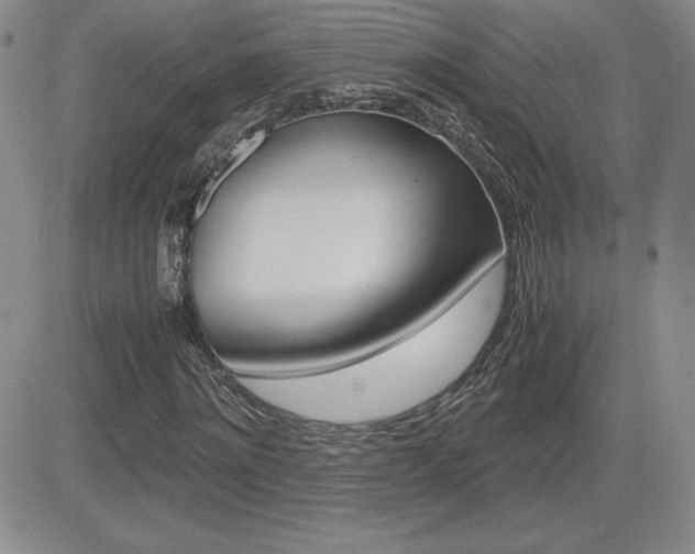 X0000082740868200701261028
