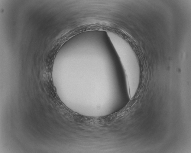 X0000082740869200701261028