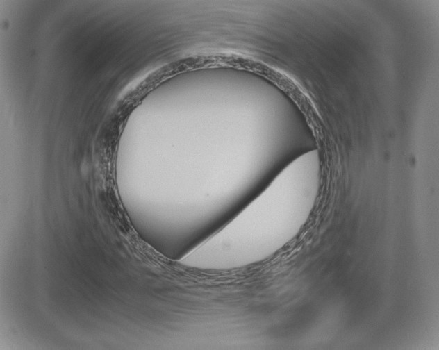 X0000082740871200701261028