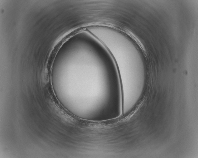 X0000082740876200701261028