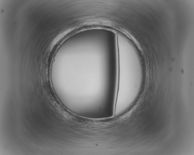 X0000082740877200701261028