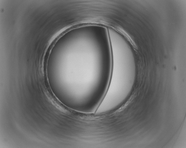 X0000082740884200701261028