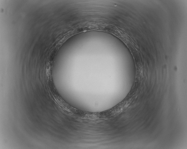X0000082740914200701261027