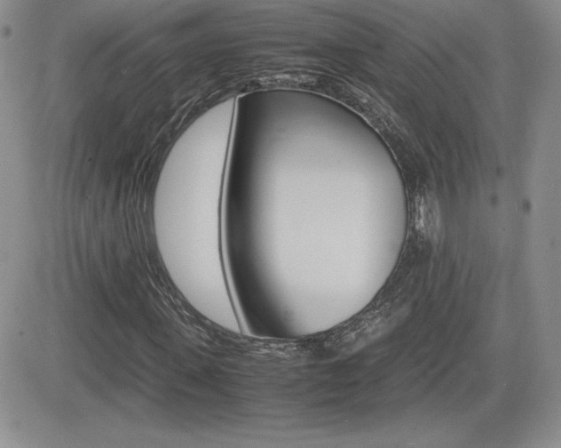 X0000082740915200701261027