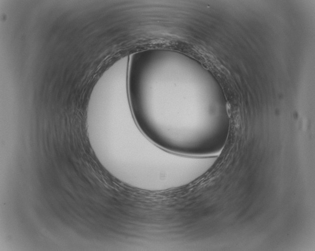 X0000082740916200701261027