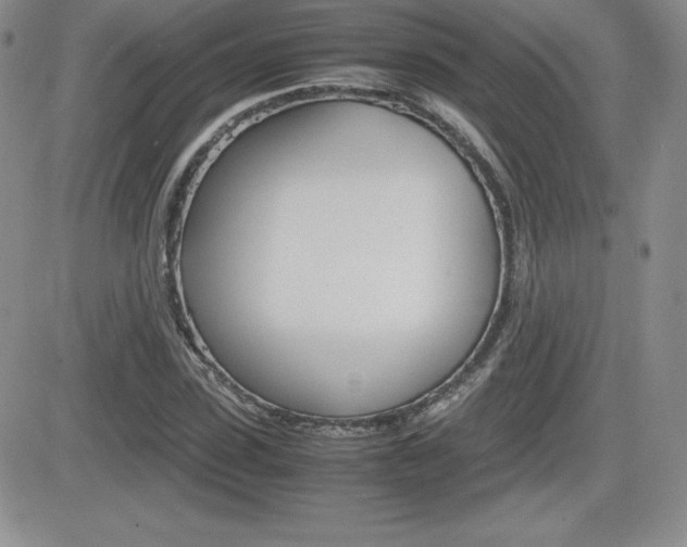X0000082740923200701261027